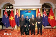 50 years of Vietnam-New Zealand diplomatic ties marked in Wellington